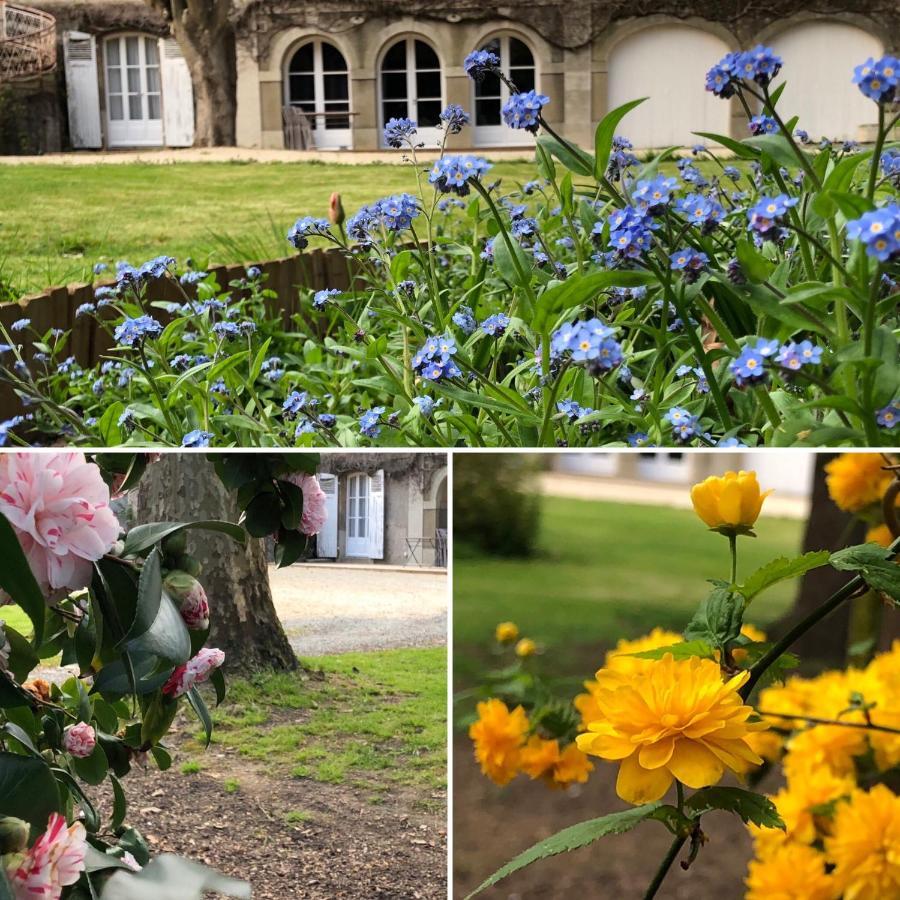 Au Rez De Jardin Hotel Cholet Bagian luar foto