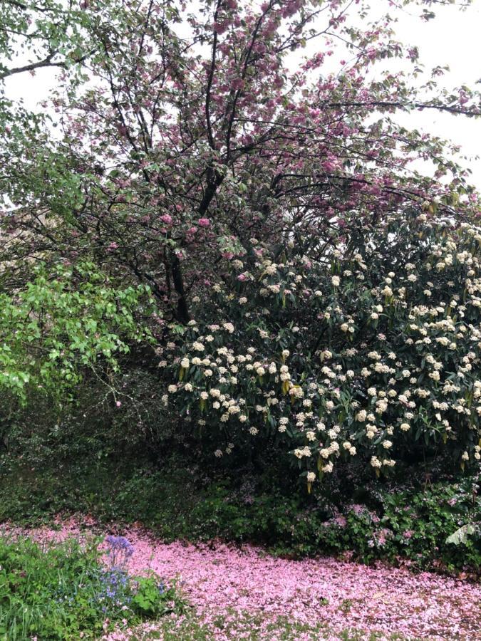 Au Rez De Jardin Hotel Cholet Bagian luar foto