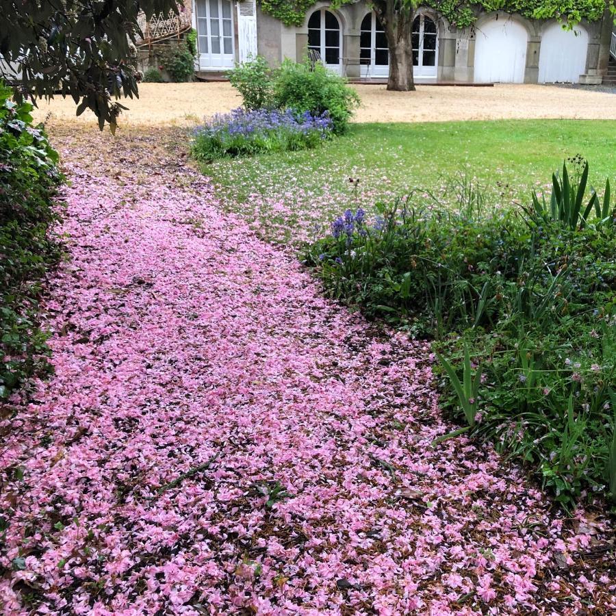 Au Rez De Jardin Hotel Cholet Bagian luar foto