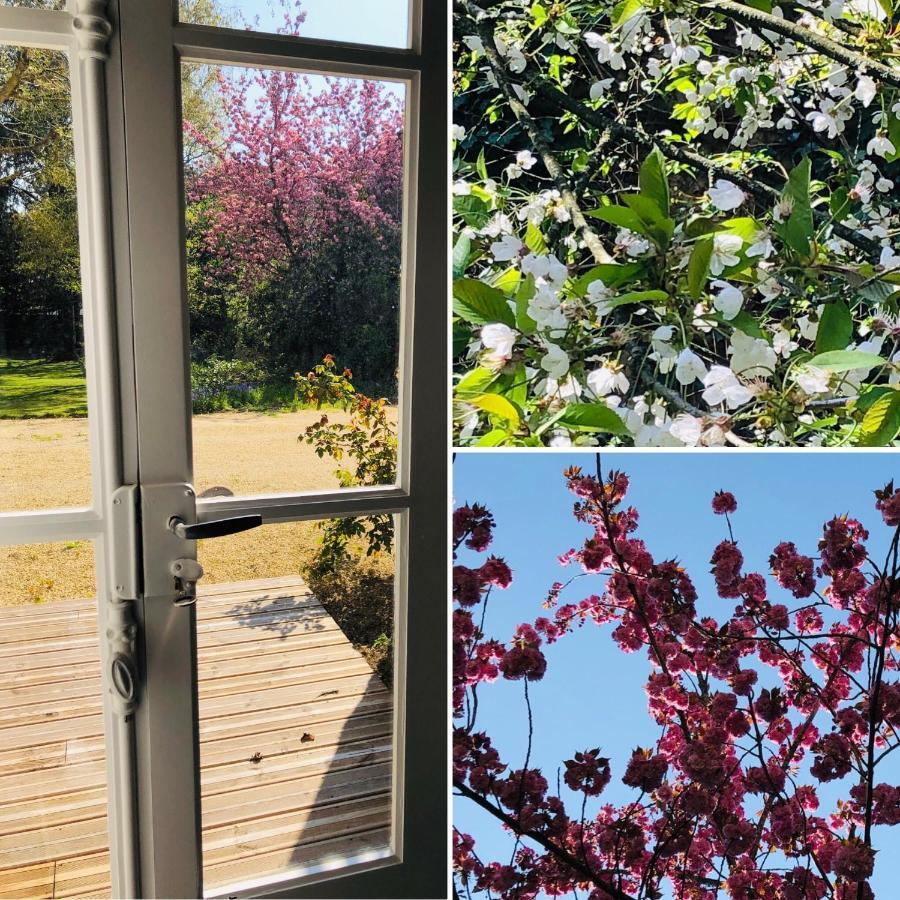 Au Rez De Jardin Hotel Cholet Bagian luar foto