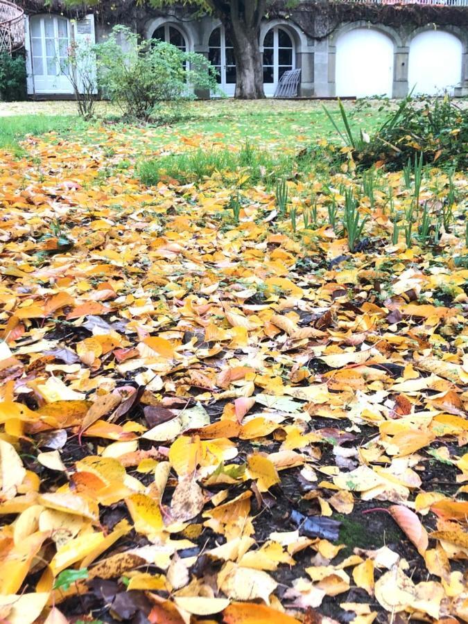 Au Rez De Jardin Hotel Cholet Bagian luar foto